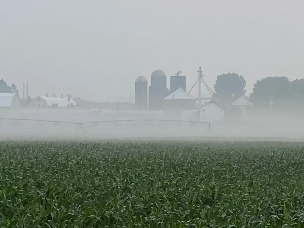 Haze in Michigan